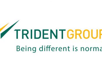 Trident Group Logo